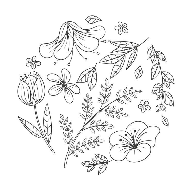 Vetor grátis ilustração de contorno de flor simples desenhada à mão