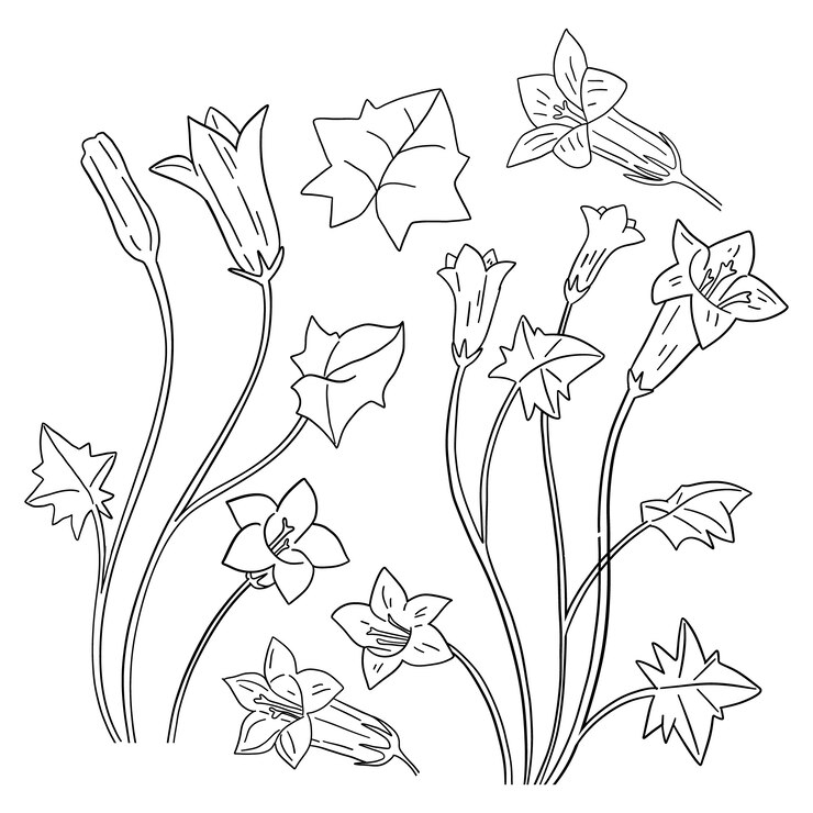 Vetor grátis ilustração de contorno de flor simples desenhada à mão