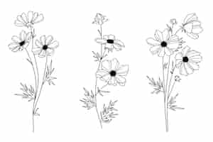 Vetor grátis ilustração de contorno de flor simples desenhada à mão