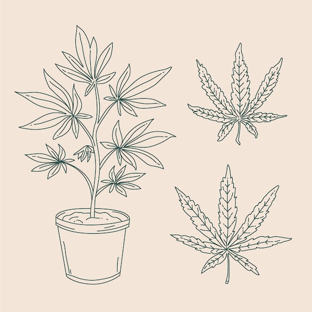 Ilustração de contorno de folha de maconha desenhada de mão