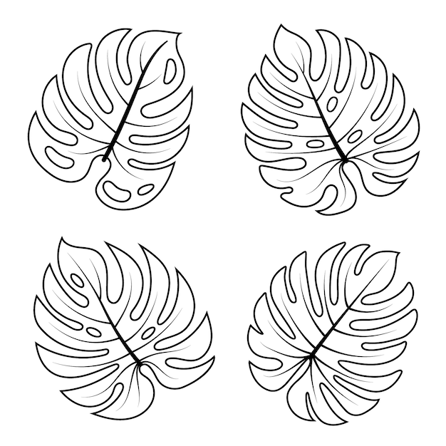 Vetor grátis ilustração de contorno de folha de monstera desenhada à mão