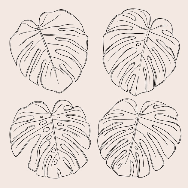 Ilustração de contorno de folha de monstera desenhada à mão