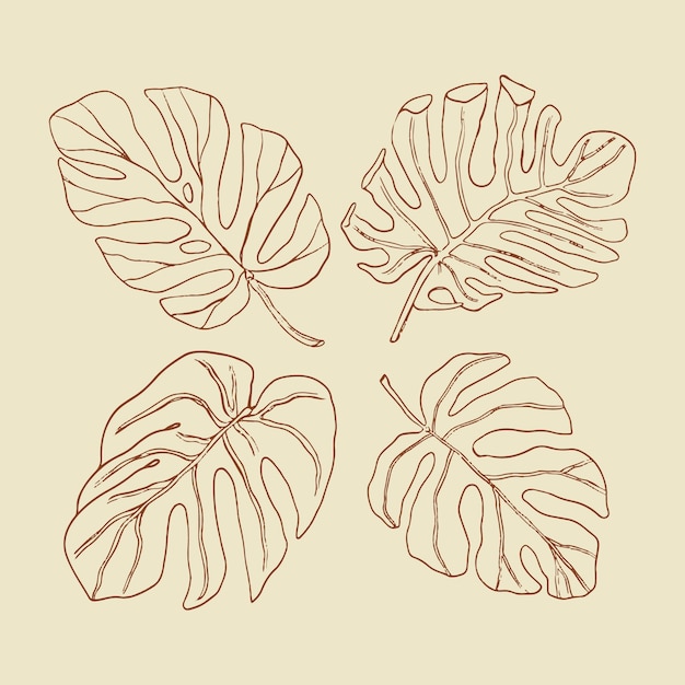 Ilustração de contorno de folha de monstera desenhada à mão