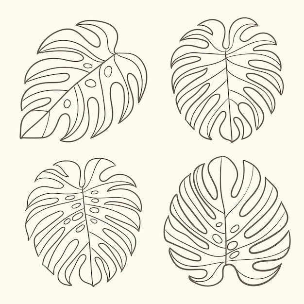 Vetor grátis ilustração de contorno de folha de monstera desenhada à mão