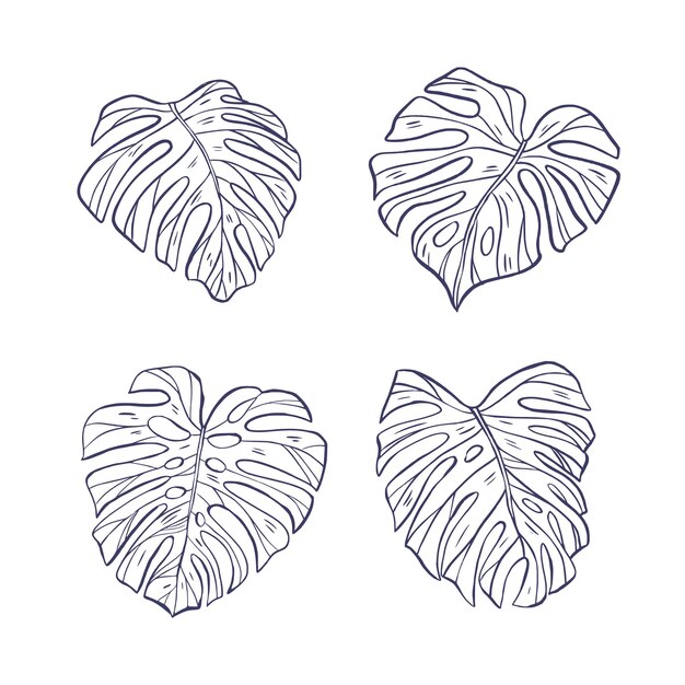 Ilustração de contorno de folha de monstera desenhada à mão