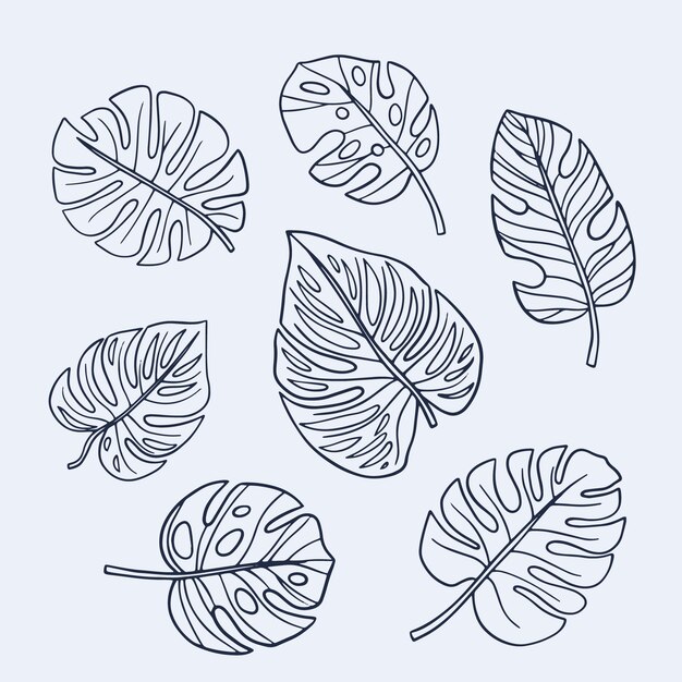 Ilustração de contorno de folha de monstera desenhada à mão