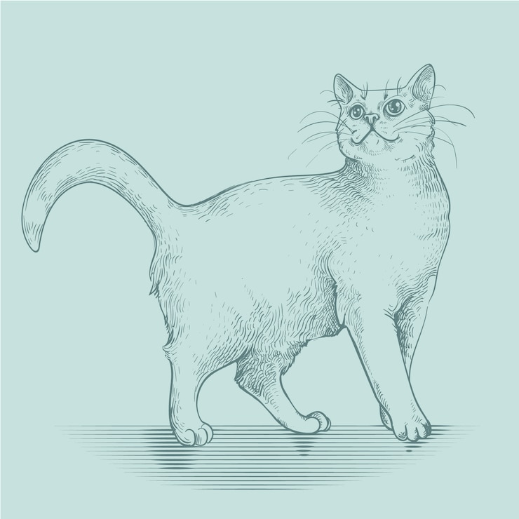 Vetor grátis ilustração de contorno de gato desenhada à mão