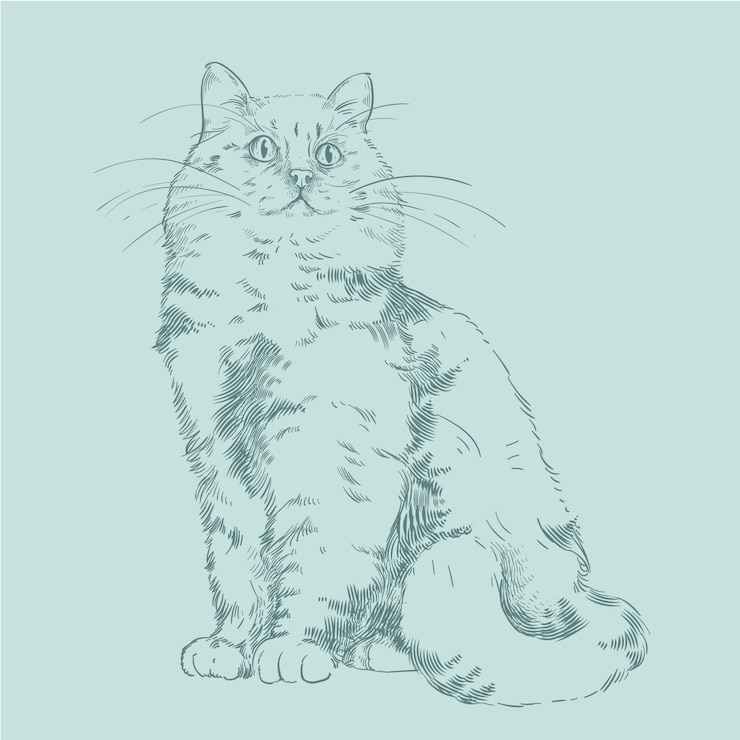 Vetor grátis ilustração de contorno de gato desenhada à mão