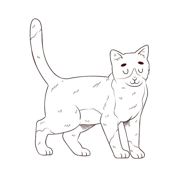 Vetor grátis ilustração de contorno de gato desenhado à mão