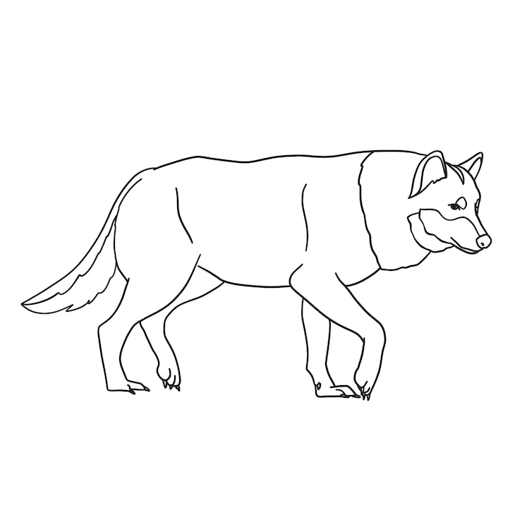 Vetor grátis ilustração de contorno de lobo desenhado à mão