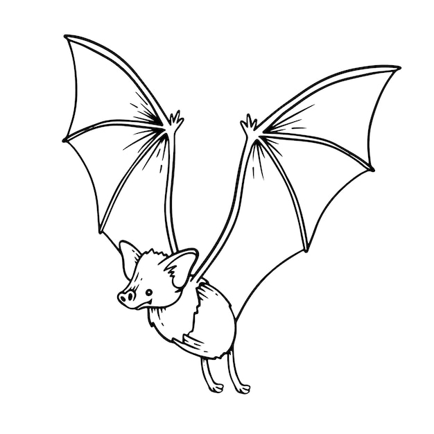 Ilustração de contorno de morcego desenhada à mão
