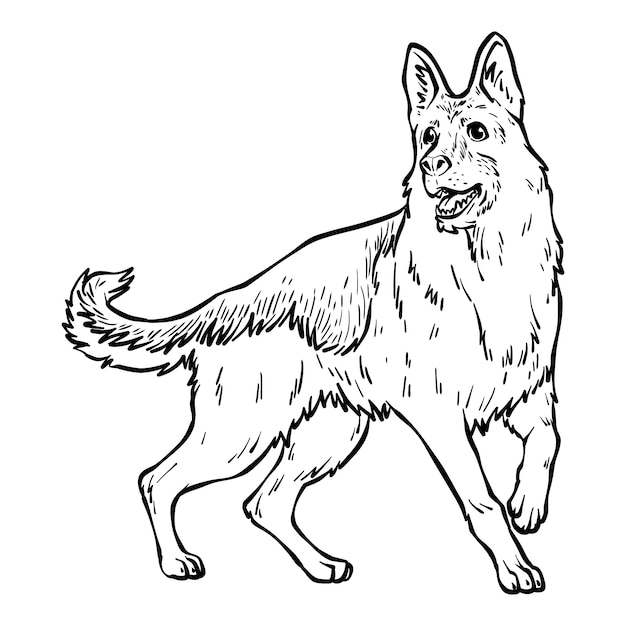 Vetor grátis ilustração de contorno de pastor alemão desenhada à mão
