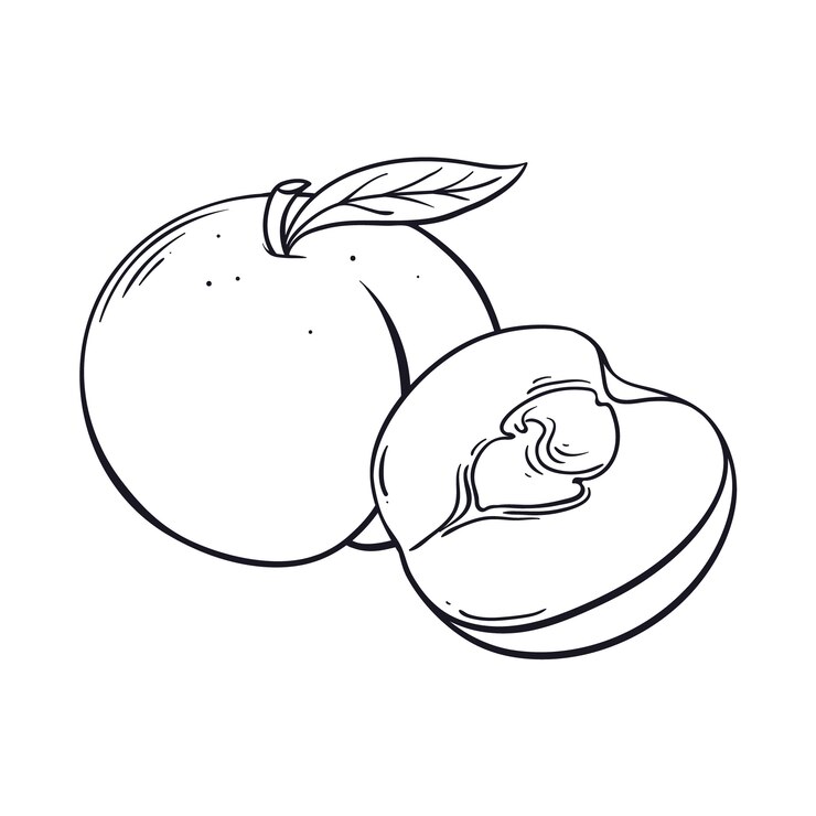Vetor grátis ilustração de contorno de pêssego desenhada à mão