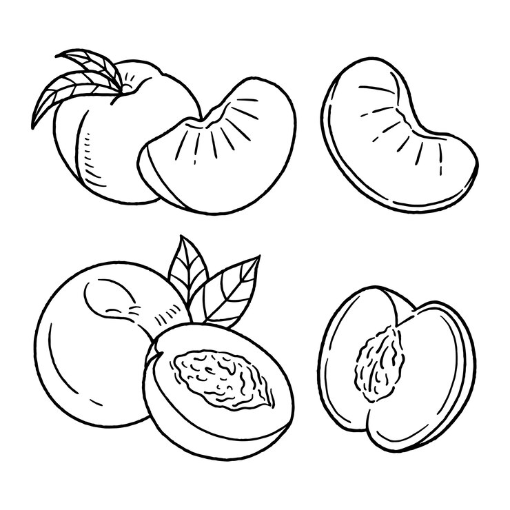 Vetor grátis ilustração de contorno de pêssego desenhada à mão