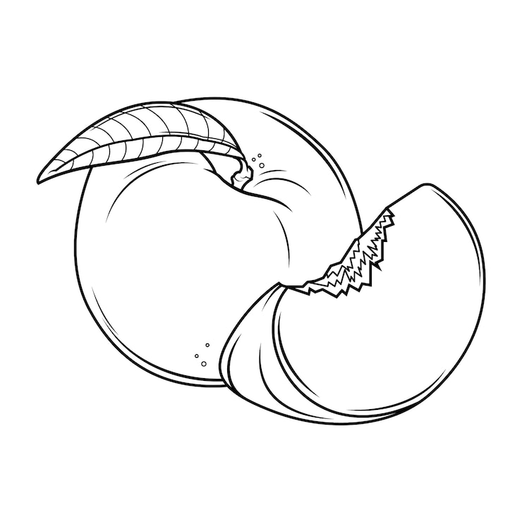 Vetor grátis ilustração de contorno de pêssego desenhada à mão