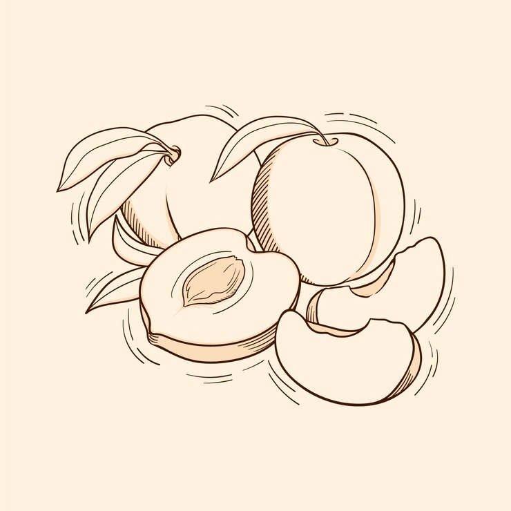 Vetor grátis ilustração de contorno de pêssego desenhado à mão