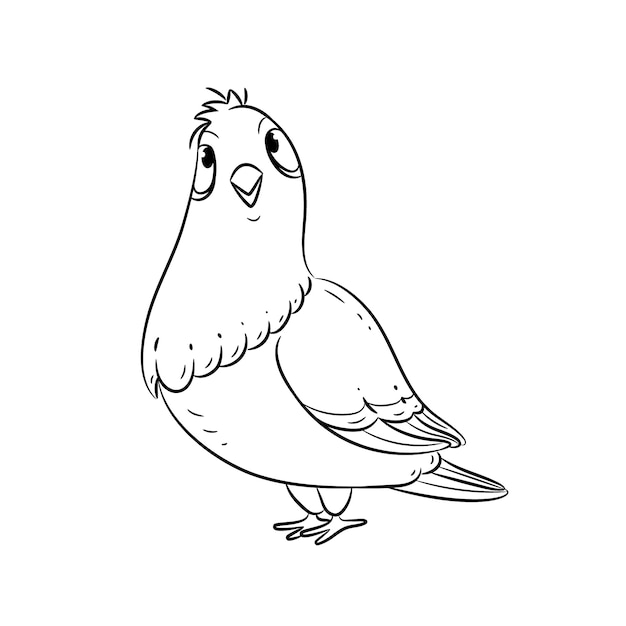 Ilustração de contorno de pomba desenhada à mão