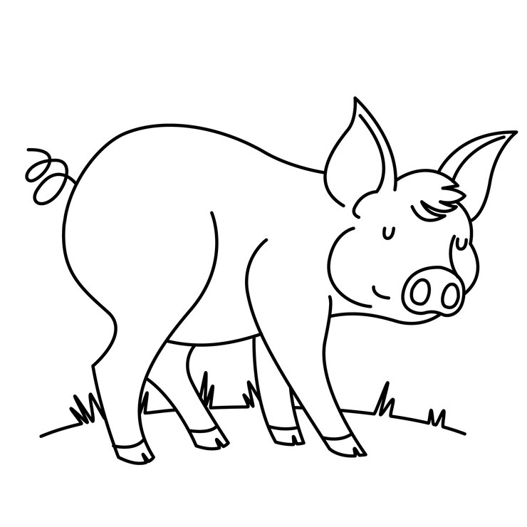 Vetor grátis ilustração de contorno de porco desenhada de mão