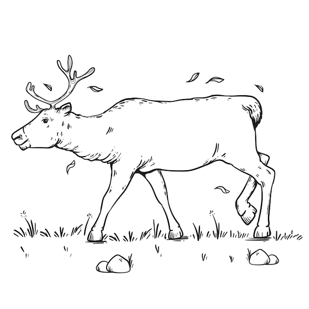 Vetor grátis ilustração de contorno de rena desenhada de mão
