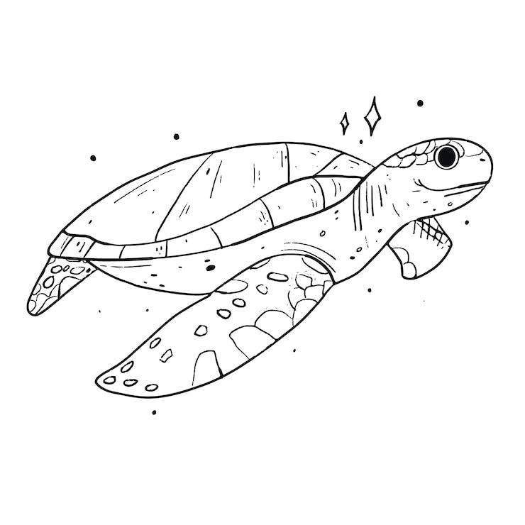 Vetor grátis ilustração de contorno de tartaruga desenhada à mão