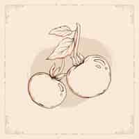 Vetor grátis ilustração de contorno de tomate desenhada à mão