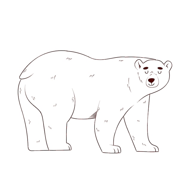 Vetor grátis ilustração de contorno de urso desenhado à mão