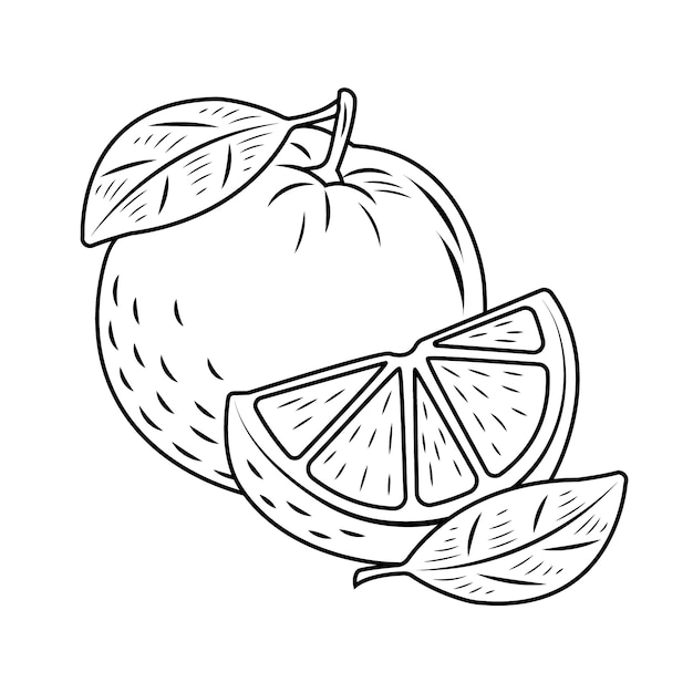 Ilustração de contorno laranja desenhada de mão