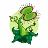 Vetor grátis ilustração de desenho animado de venus flytrap desenhada à mão