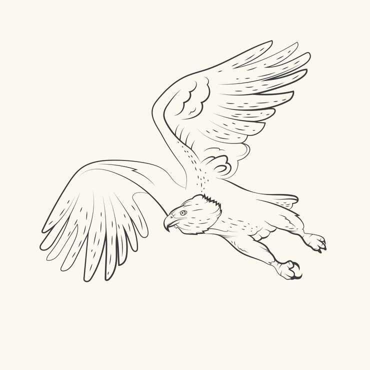 Vetor grátis ilustração de desenho de águia voando desenhada à mão