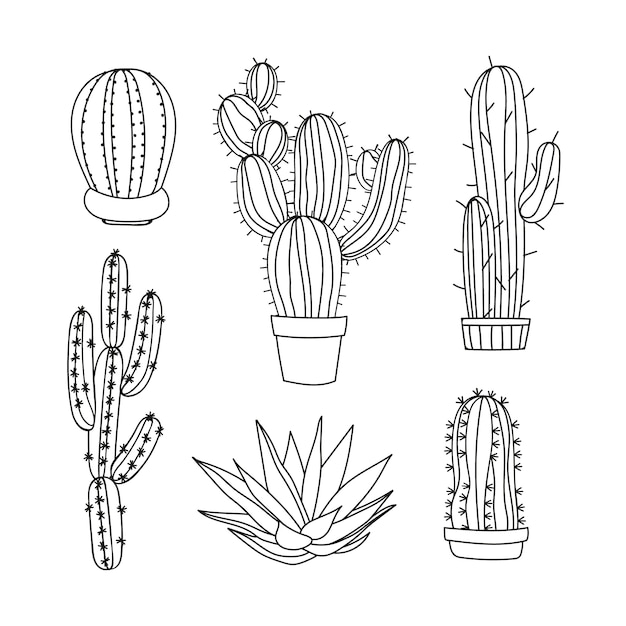 Ilustração em xilogravura de jardim de cactos