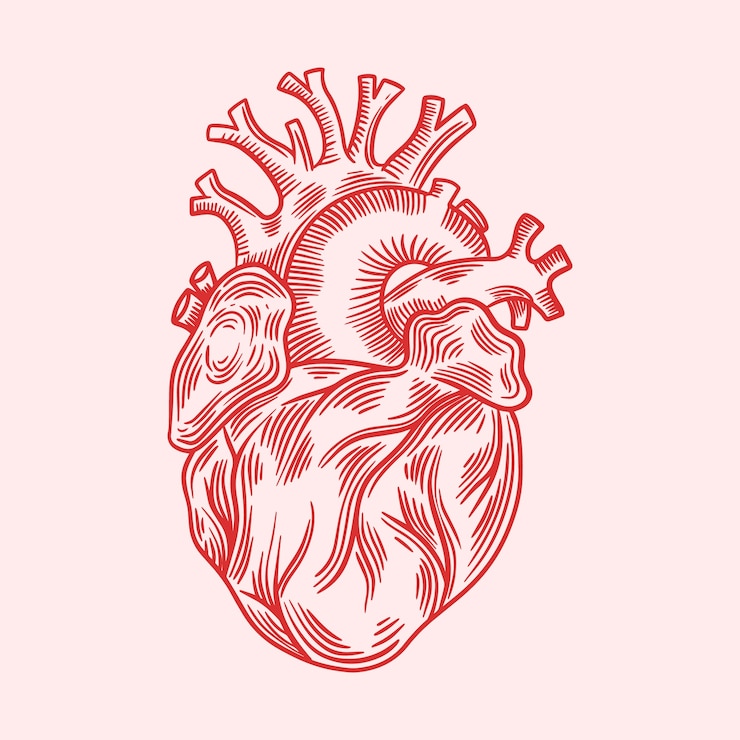 Vetor grátis ilustração de desenho de coração desenhada de mão