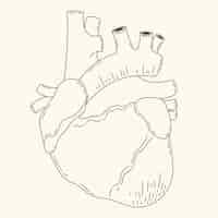 Vetor grátis ilustração de desenho de coração desenhado à mão