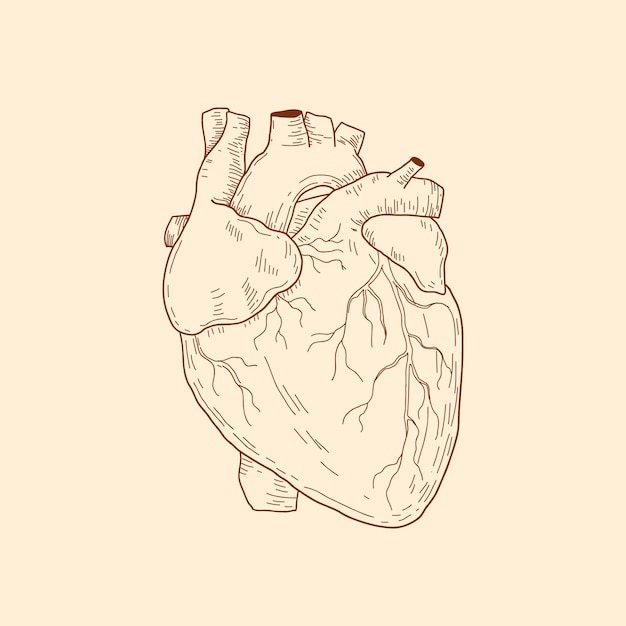 Vetor grátis ilustração de desenho de coração desenhado à mão