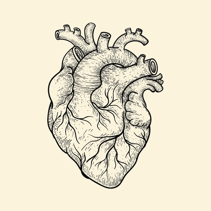 Vetor grátis ilustração de desenho de coração desenhado à mão