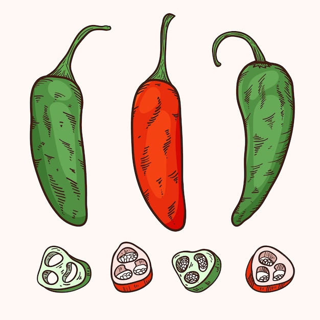 Vetor grátis ilustração de desenho de jalapeno desenhada à mão