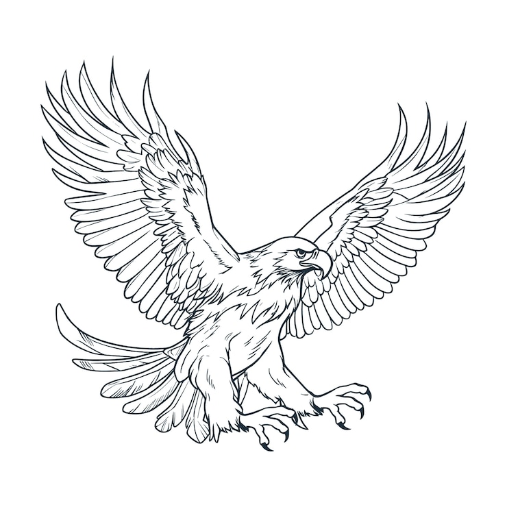 Vetor grátis ilustração de desenho voador de águia desenhada à mão