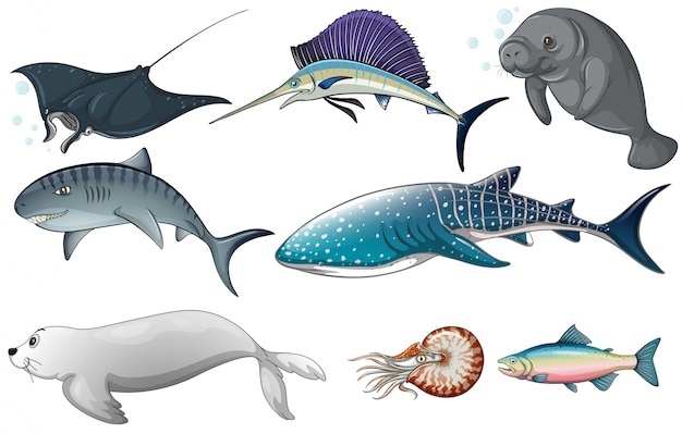 Ilustração de diferentes tipos de criaturas oceânicas