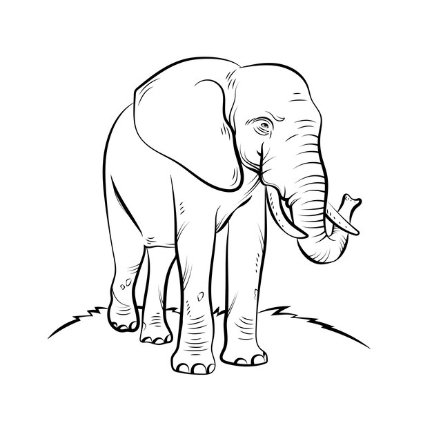 Ilustração de elefante desenhada à mão