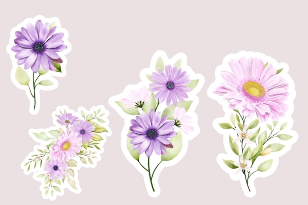 Ilustração de elementos de coleção de adesivos de margarida floral