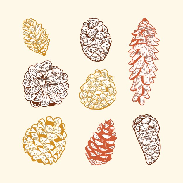 Ilustração de festival de colheita desenhada à mão