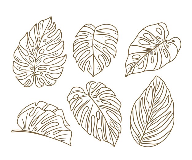 Ilustração de folha de monstera desenhada de mão