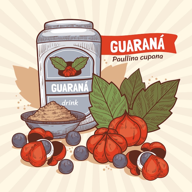 Vetor grátis ilustração de guaraná desenhada à mão