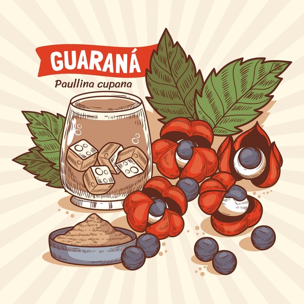 Vetor grátis ilustração de guaraná desenhada à mão