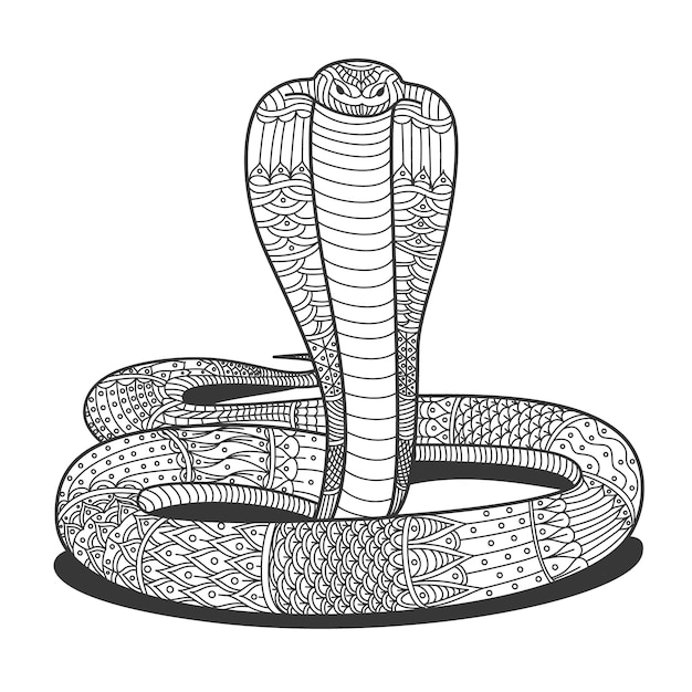 Desenho De Cobra PNG Images, Vetores E Arquivos PSD