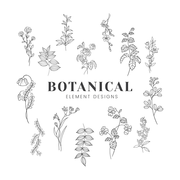 Ilustração de maquete floral botânica