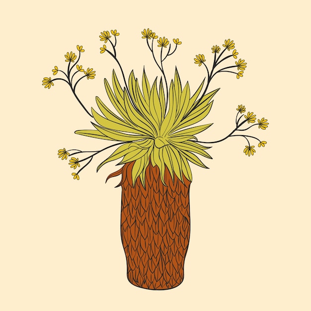 Ilustração de planta frailejon desenhada à mão