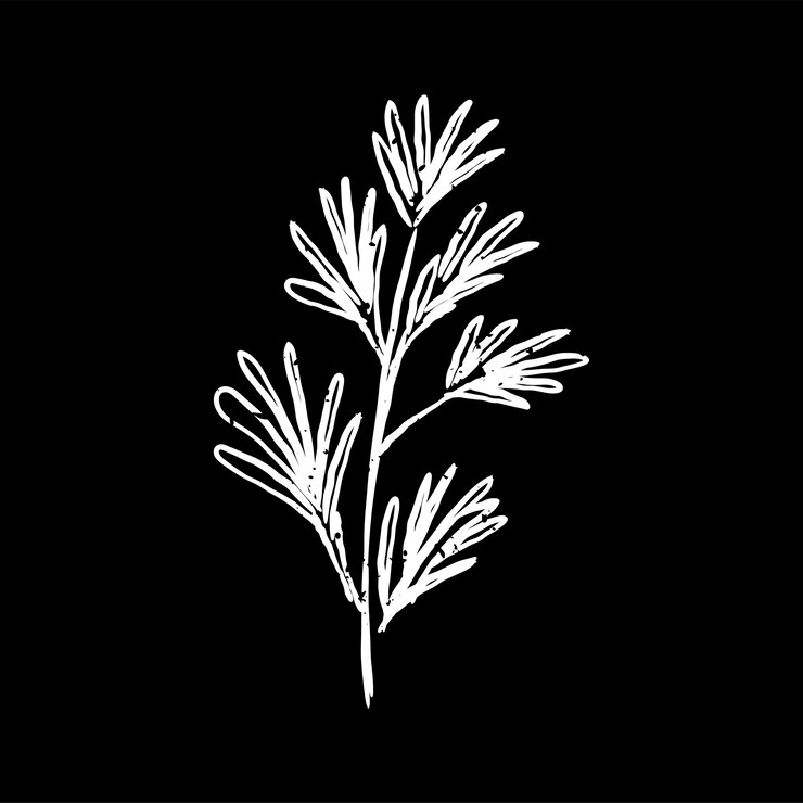 Vetor grátis ilustração, de, planta