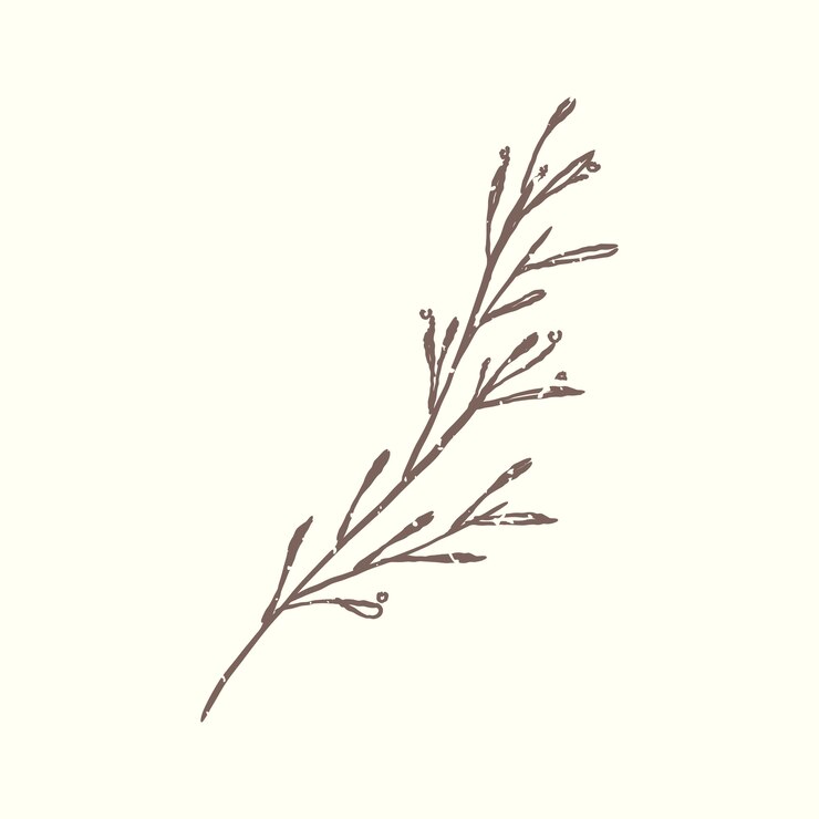 Vetor grátis ilustração, de, planta