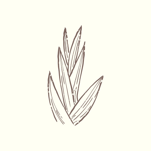 Vetor grátis ilustração, de, planta