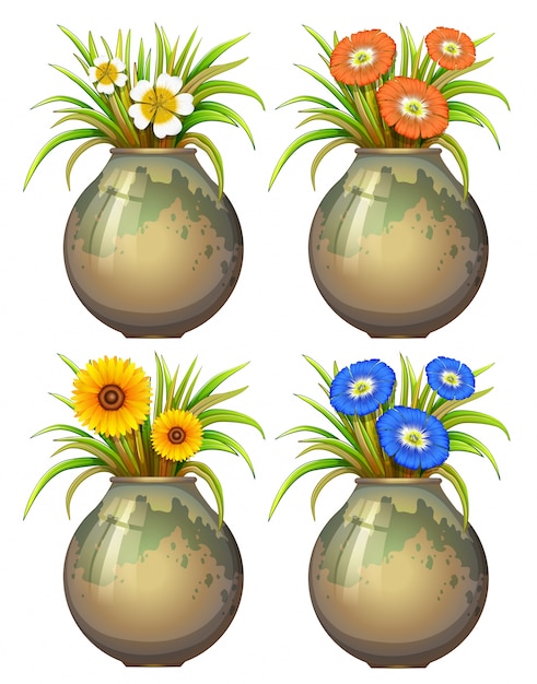 Ilustração de quatro vasos de plantas e flores